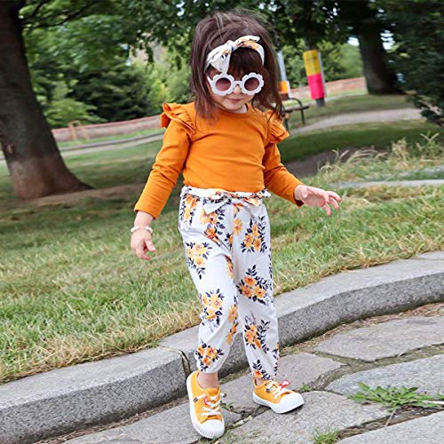 ZOEREA Conjunto de Ropa de Bebé Niña Encantador Manga Larga Tops con Volantes + Pantalones Floral + Venda Recién Nacido Niñas Otoño Primavera Trajes 3 Piezas