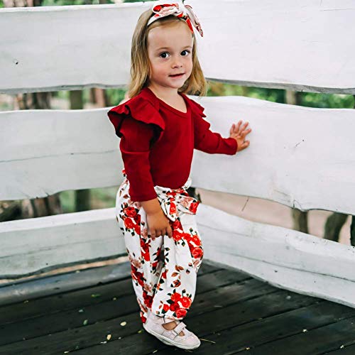 ZOEREA Conjunto de Ropa de Bebé Niña Manga Larga Mameluco con Volantes Mono Body + Pantalones Floral + Venda Recién Nacido Niñas Otoño Primavera Trajes 3 Piezas ZOEREA Conjunto de Ropa de Bebé Niña Manga Larga Mameluco con Volantes Mono Body + Pantalones Floral + Venda Recién Nacido Niñas Otoño Primavera Trajes 3 Piezas