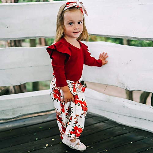 ZOEREA Conjunto de Ropa de Bebé Niña Manga Larga Mameluco con Volantes Mono Body + Pantalones Floral + Venda Recién Nacido Niñas Otoño Primavera Trajes 3 Piezas