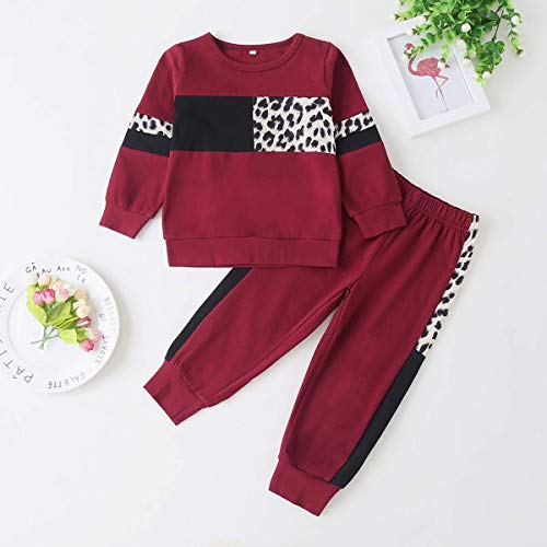 ZOEREA Conjunto de Ropa de Bebé Niña Moda Manga Sudadera Tops + Pantalones Leopardo Recién Nacido Niñas Otoño Primavera Trajes 2 Piezas