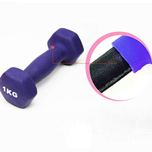 Zoey's store Mancuerna de neopreno para ejercicio en casa, fitness, muscular, para hombres, señoras, niños, brazos, pilates (rosa, 1 x 1,5 kg) Zoey's store Mancuerna de neopreno para ejercicio en casa, fitness, muscular, para hombres, señoras, niños, brazos, pilates (rosa, 1 x 1,5 kg)
