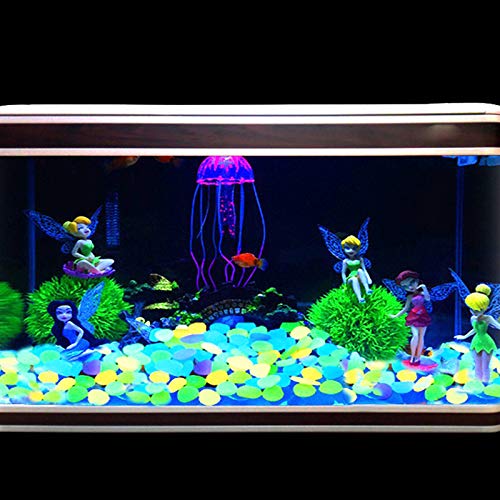 ZoomSky Piedras Luminosas Azul 200pcs Stone Brillante Roca Fluorescente Adorno pecera para Decorar jardín hogar Botella Maceta Acuario balcón Pared Piscina y Lago y identificar vereda en Patio ZoomSky Piedras Luminosas Azul 200pcs Stone Brillante Roca Fluorescente Adorno pecera para Decorar jardín hogar Botella Maceta Acuario balcón Pared Piscina y Lago y identificar vereda en Patio