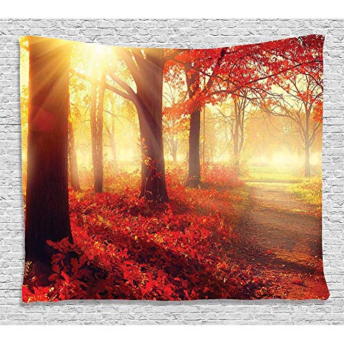 ZWBBO Tapiz Tapiz de decoración de otoño Vigas de a través de Misty Old Forest en Temporada Vista de la mañana Dreamy escénica colgantedormitorio (130X150cm)