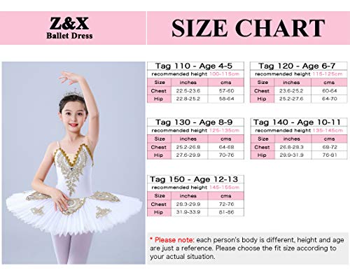 Z&X Vestido profesional de ballet para niña con falda de lago de cisnes, vestido de princesa Z&X Vestido profesional de ballet para niña con falda de lago de cisnes, vestido de princesa