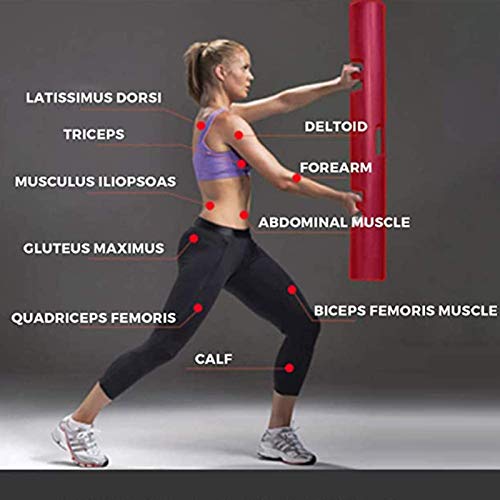ZXFF Capacitación Funcional Barril VIPR Fitness Tube TPR Ambiental Ambiental Energy Tube VIPR Entrenamiento Personal Gimnasio Equipo De Cojinete (Size : 12KG) ZXFF Capacitación Funcional Barril VIPR Fitness Tube TPR Ambiental Ambiental Energy Tube VIPR Entrenamiento Personal Gimnasio Equipo De Cojinete (Size : 12KG)