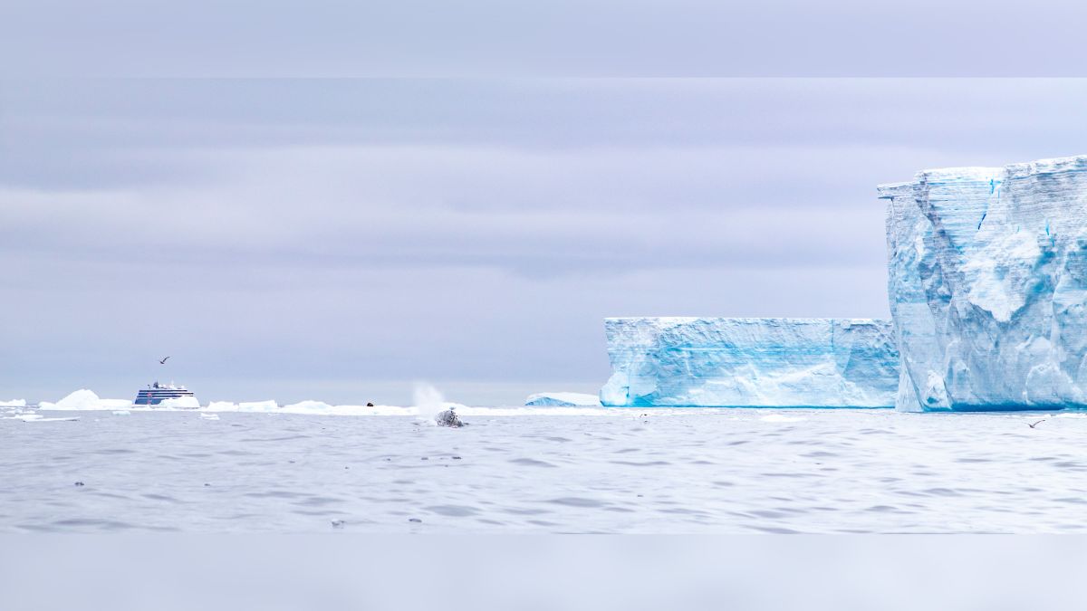 El iceberg más grande del mundo sigue rompiéndose frente a la costa de Georgia del Sur
