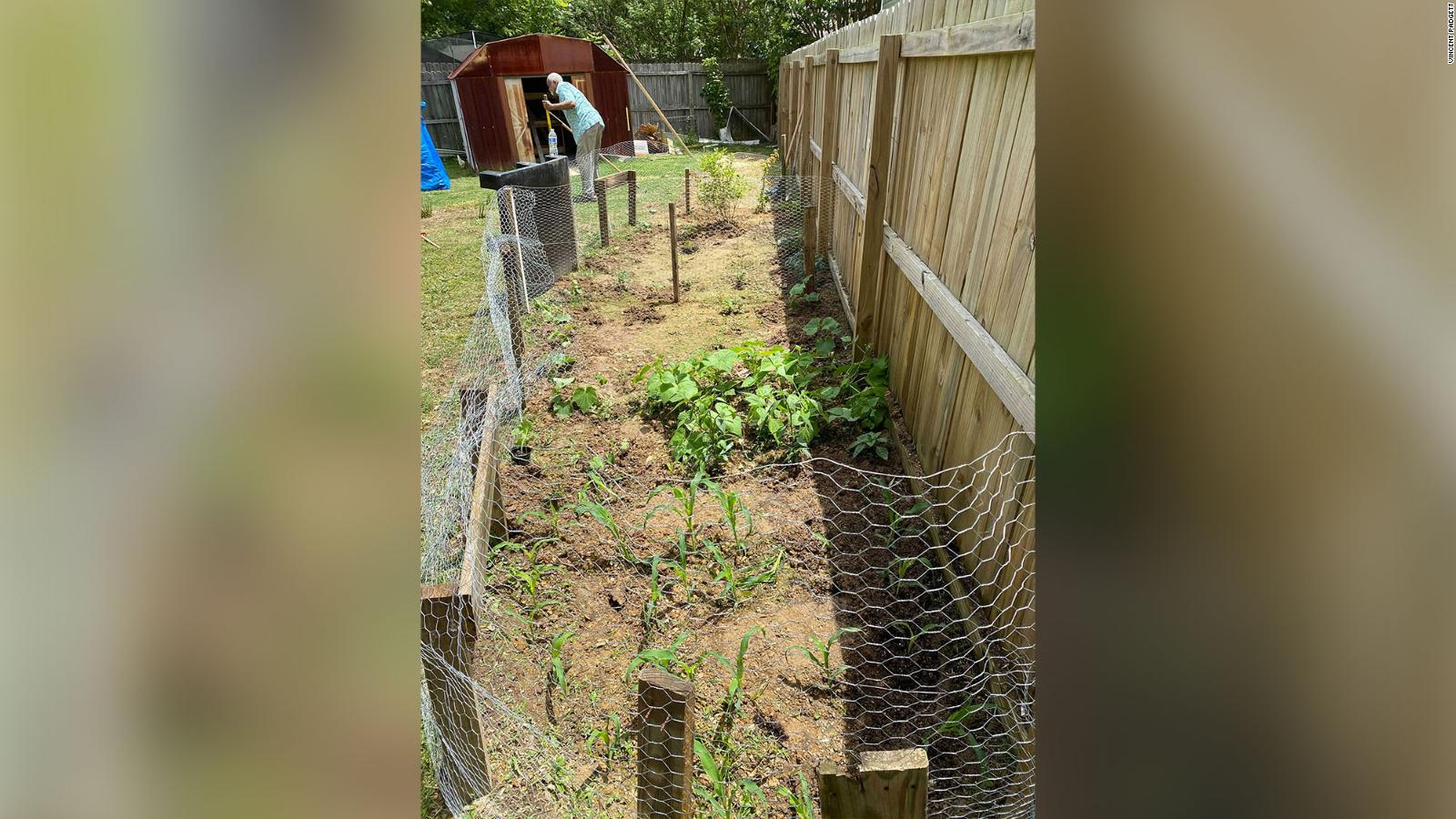 Cuando no pudo encontrar opciones saludables para su familia durante la pandemia, un padre convirtió su patio trasero en una granja