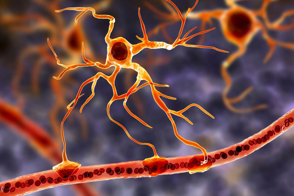 Estas células cerebrales con forma de estrella podrían ayudarnos a entender las raíces biológicas de la depresión