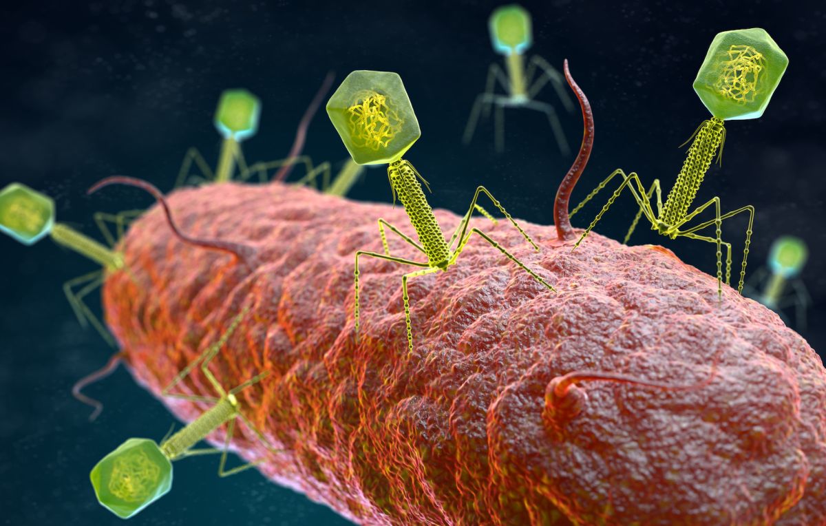 Se han encontrado 70.000 virus nunca antes vistos en el intestino humano