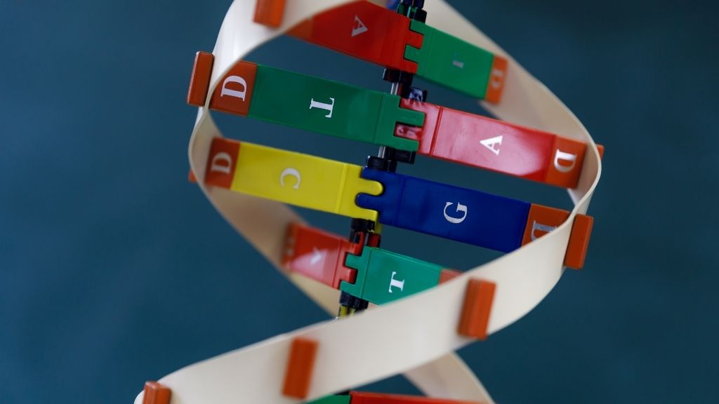 ¿Por qué el ADN muta espontáneamente? La física cuántica podría explicarlo.