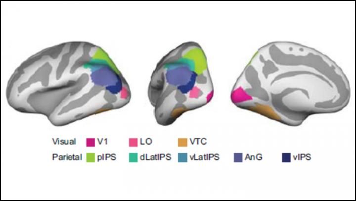 Tu cerebro deforma tus recuerdos para que los recuerdes mejor