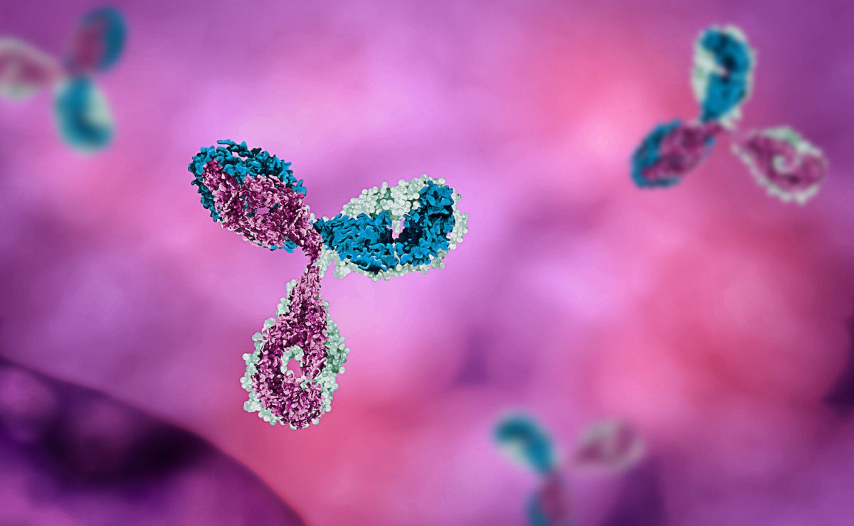Un c贸ctel de anticuerpos ayuda a prevenir las infecciones por coronavirus en los mismos hogares