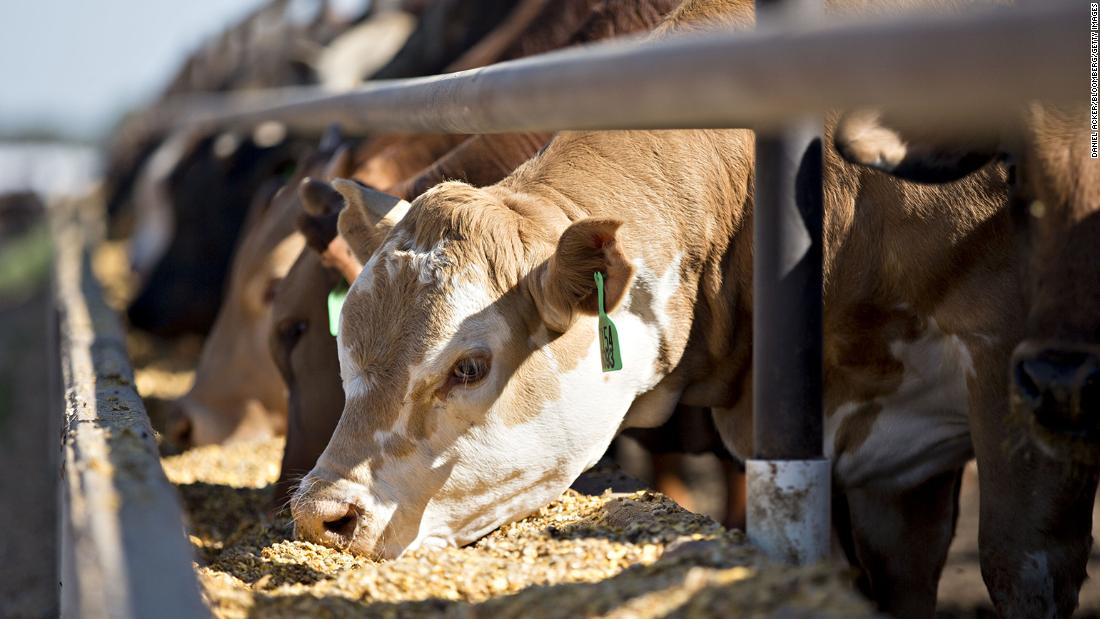 La contaminación atmosférica derivada de la producción de alimentos de origen animal está relacionada con 12.700 muertes al año, según un estudio