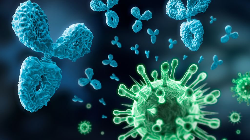 Las vacunas neutralizan la variante del coronavirus de Nueva York en platos de laboratorio