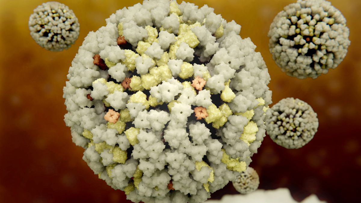 China informa del primer caso humano conocido de gripe aviar H10N3