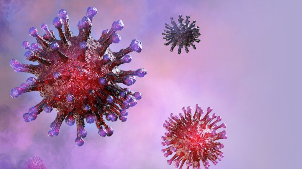 Dos tipos de virus de la gripe podrían haberse extinguido