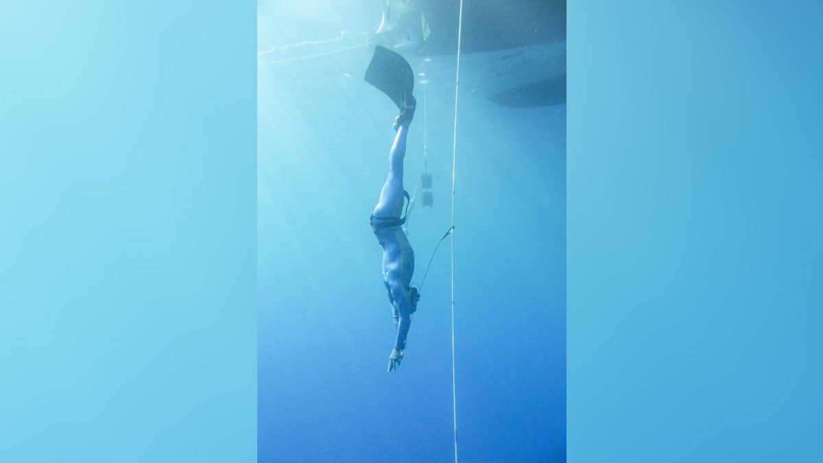 El ritmo cardíaco de los buceadores en apnea puede bajar hasta 11 pulsaciones por minuto