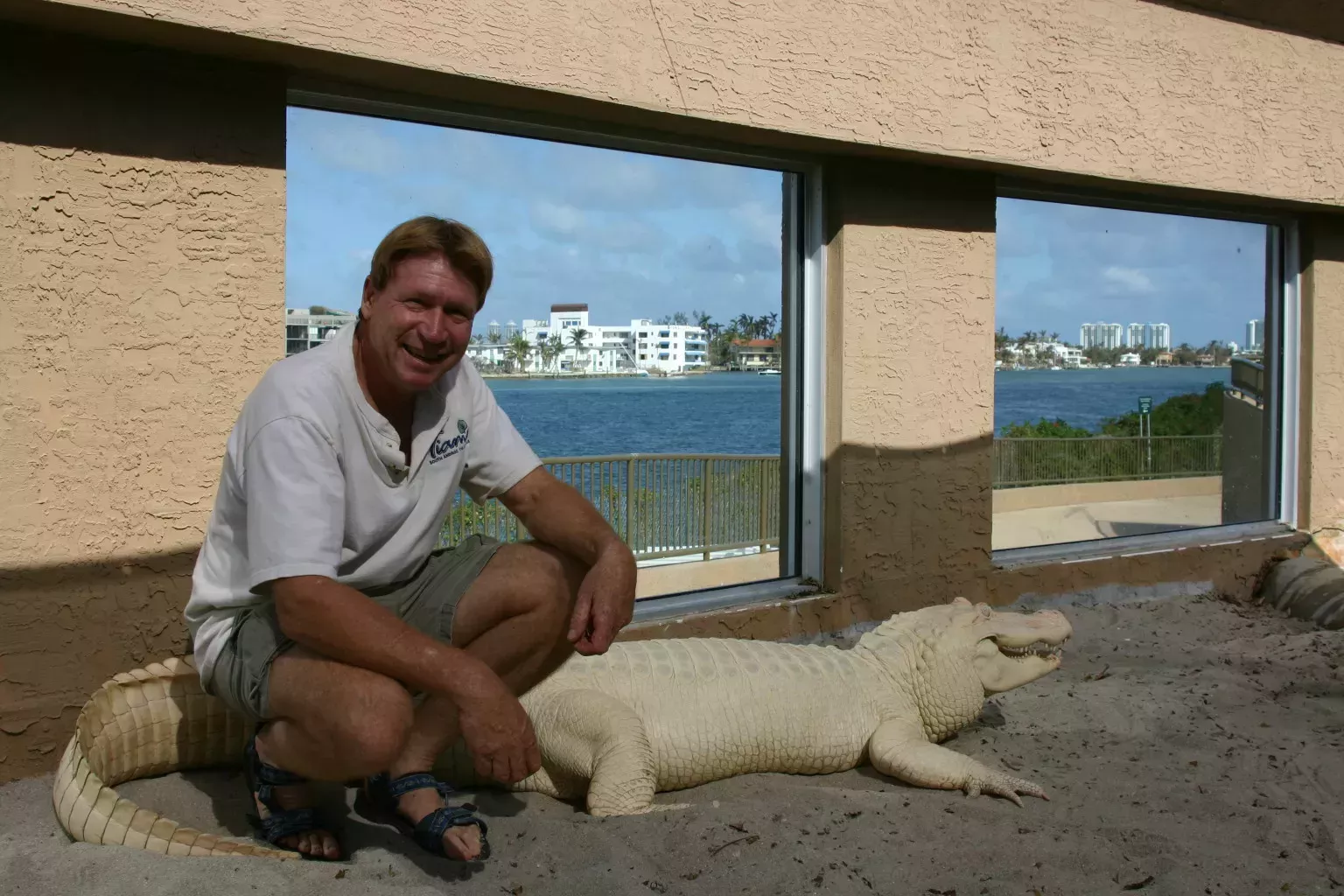 Nacen inquietantes crías de caimán albino en un parque de animales de Florida
