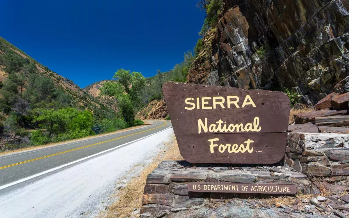 El sheriff revela qué mató a la familia de excursionistas de California