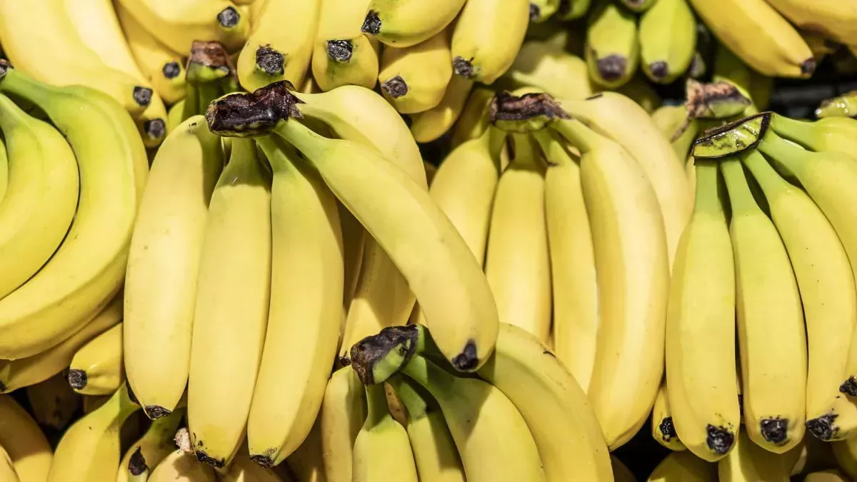 Datos nutricionales y beneficios para la salud del plátano