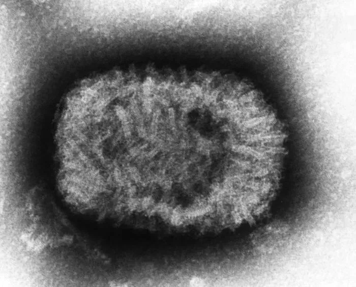 Los virus más mortíferos de la historia