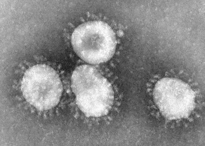 Los virus más mortíferos de la historia