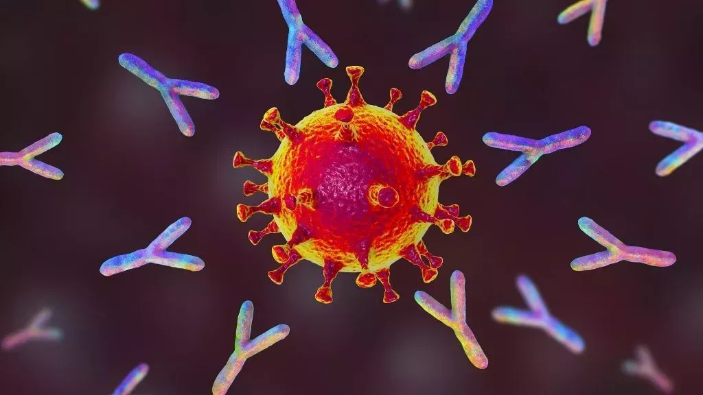 Un estudio sugiere que los casos de COVID pueden aumentar la inmunidad