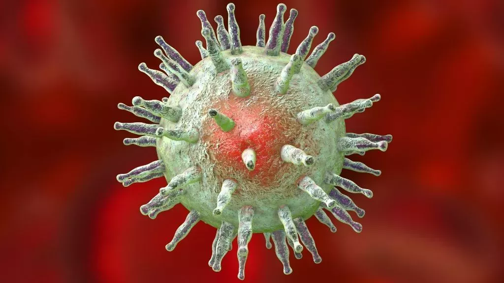 El virus de la mononucleosis podría desencadenar la esclerosis múltiple en algunas personas
