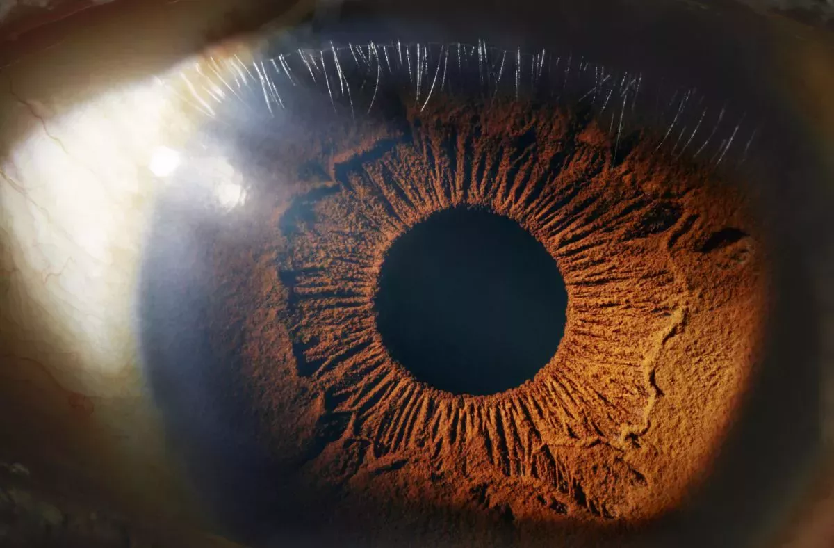 Tus ojos pueden revelar tu verdadera edad biológica
