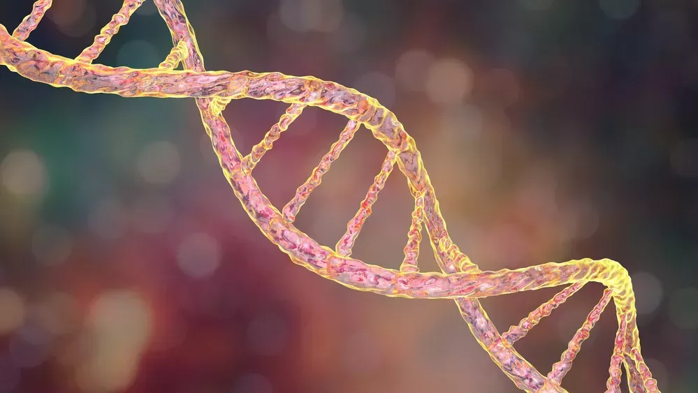 Un nuevo estudio aporta las primeras pruebas de mutaciones no aleatorias en el ADN
