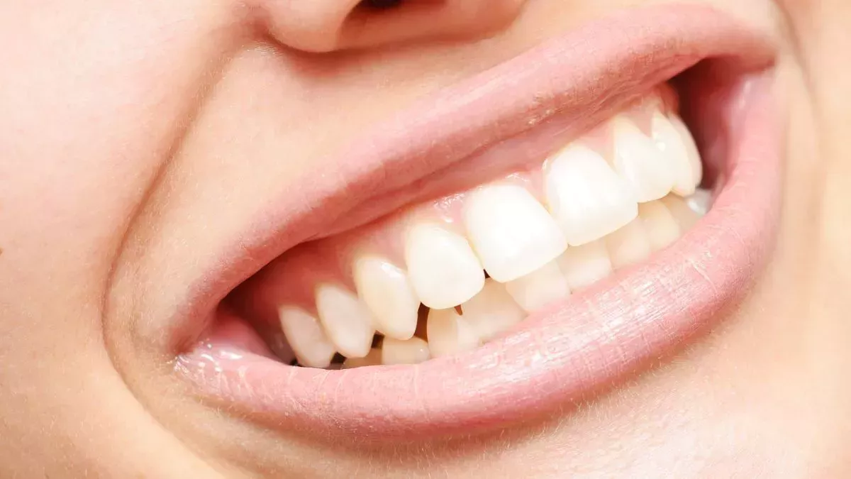 ¿Cuántos dientes tienen los humanos?