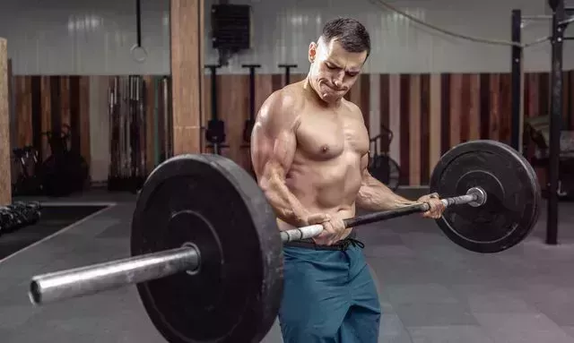 muscular man with a naked torso training biceps with a heavy barbell in a modern health club bodybuilding and fitness