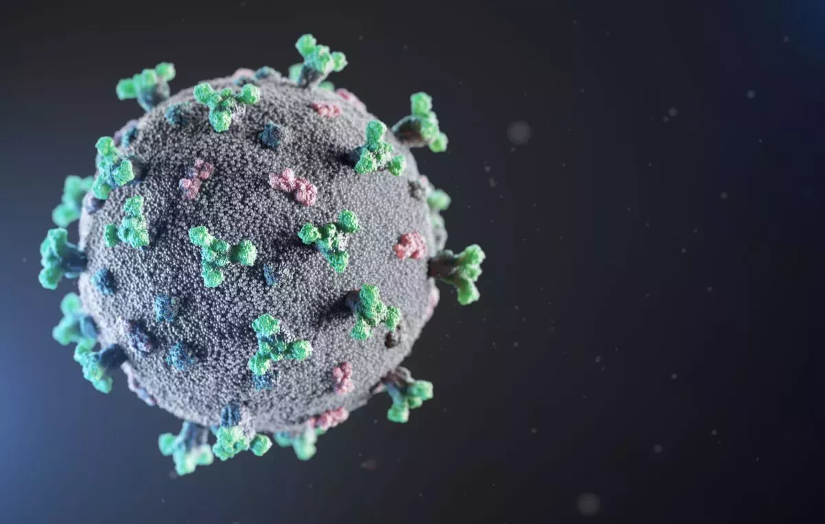  6 nuevos descubrimientos sobre los virus