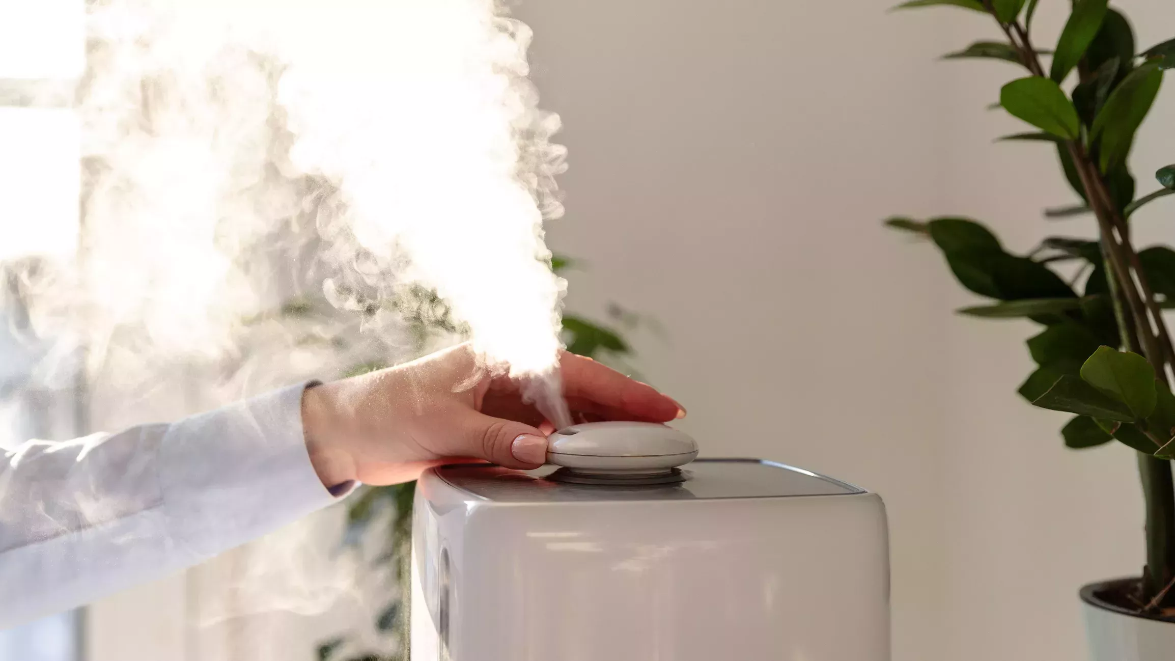 ¿Ayudan los humidificadores a la piel seca?