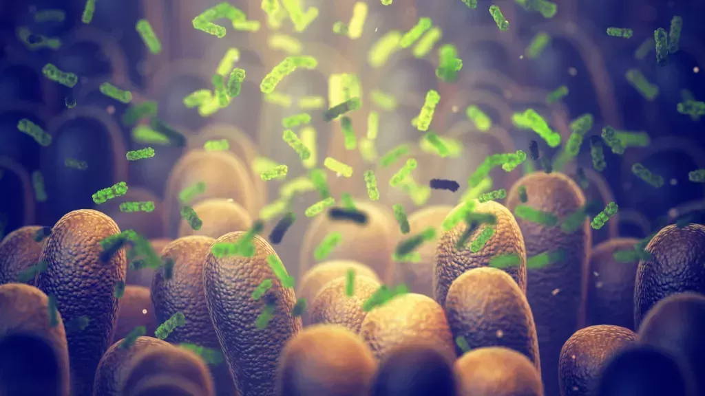 ¿Qué son los probióticos y cómo funcionan?