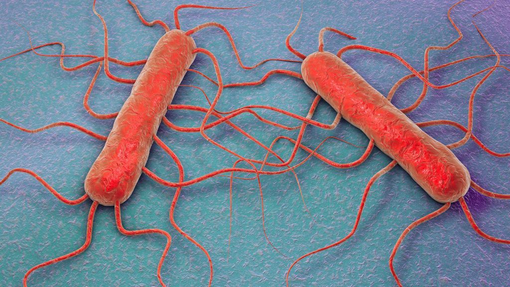 El brote de listeria está relacionado con 22 hospitalizaciones y una muerte