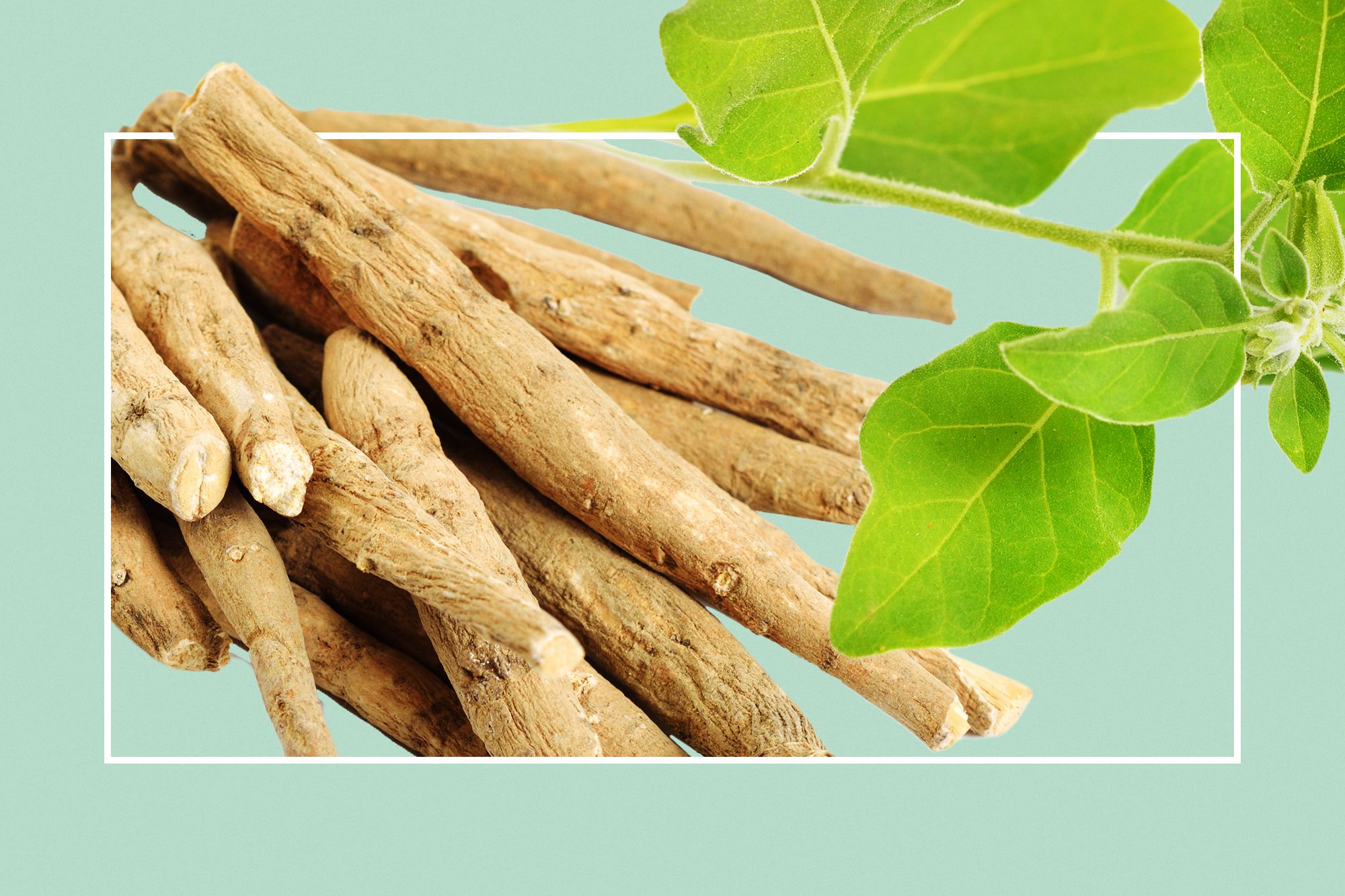 5 beneficios de la ashwagandha que explican la popularidad de este adaptógeno
