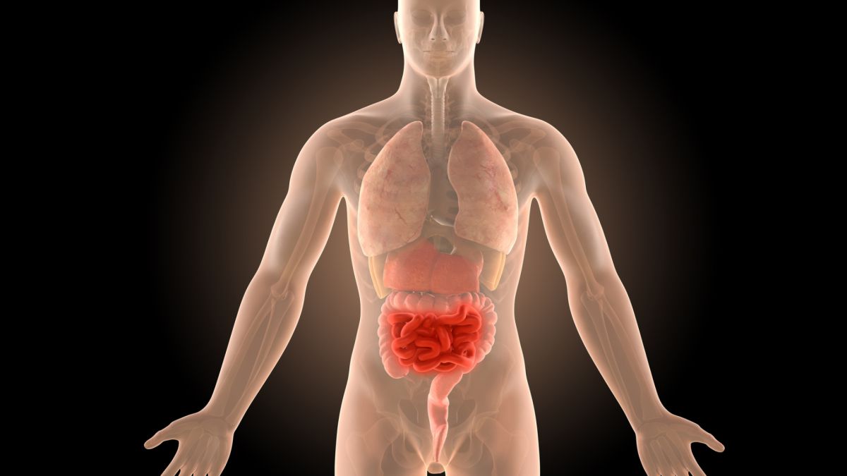 Cómo es la enfermedad de Crohn