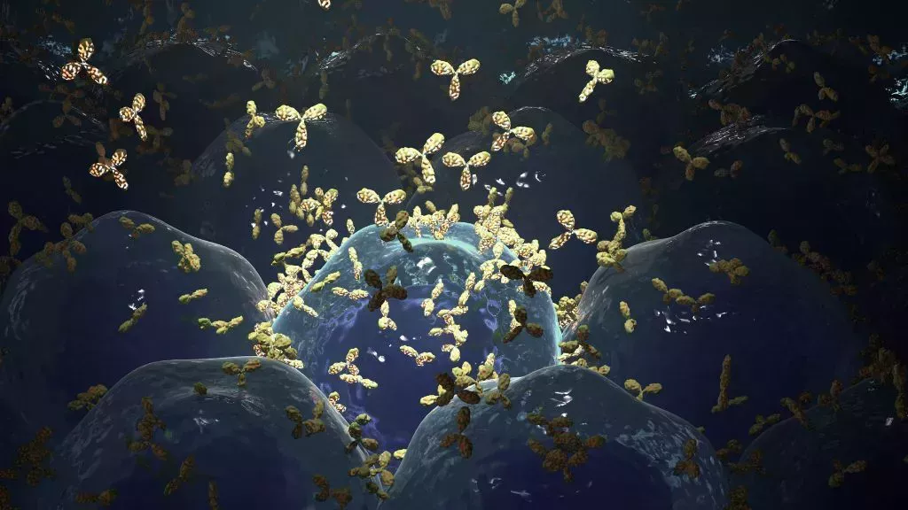 En un 1º, los científicos utilizan células inmunitarias de diseño para hacer remitir una enfermedad autoinmune