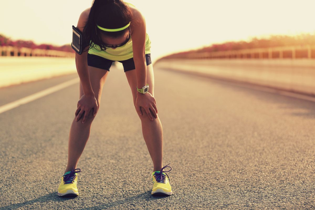 ¿Qué es la homeostasis?