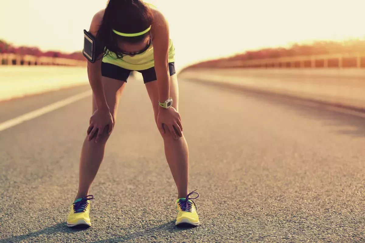¿Qué es la homeostasis?