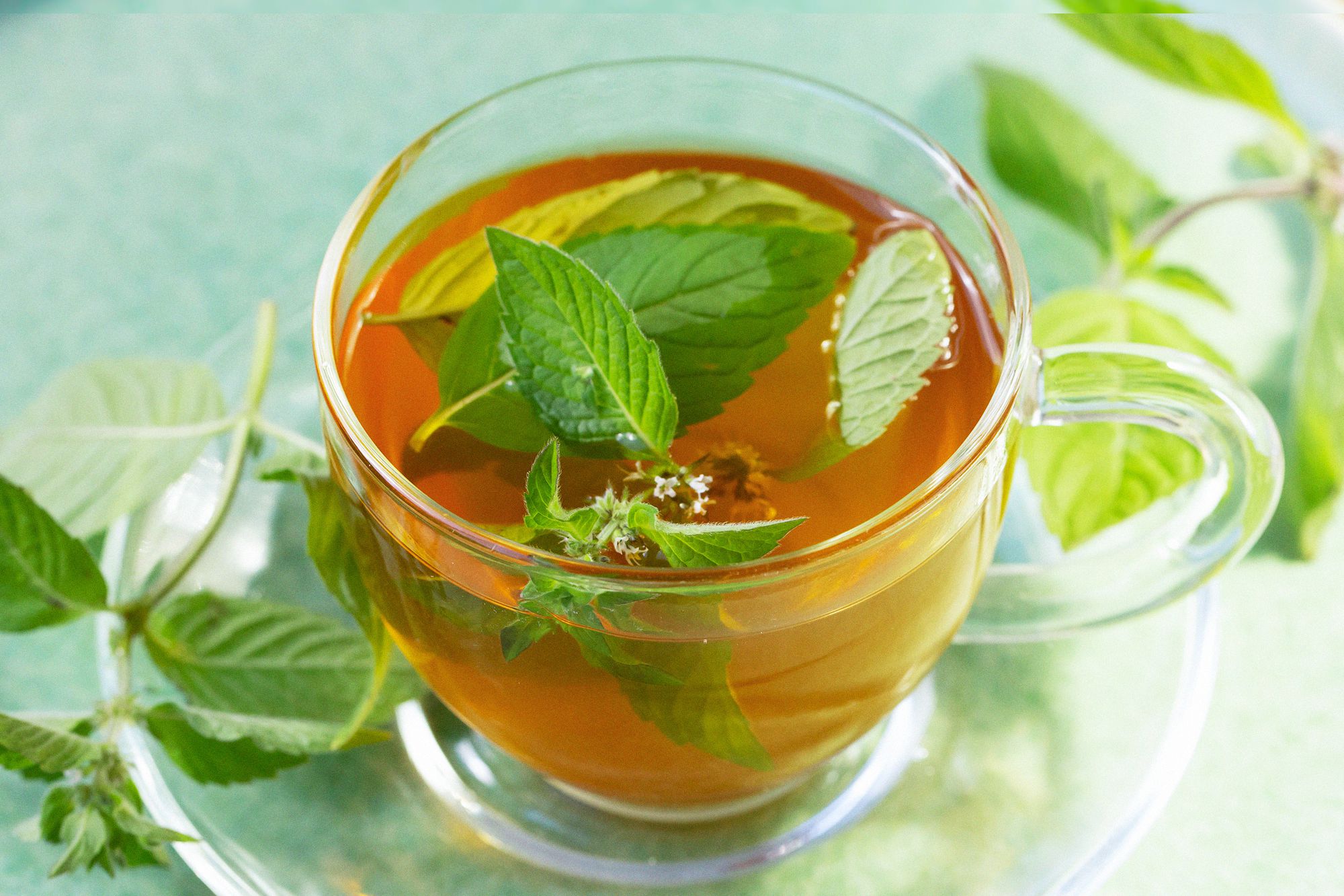 Beneficios del té de menta para el estómago, el dolor de garganta y más