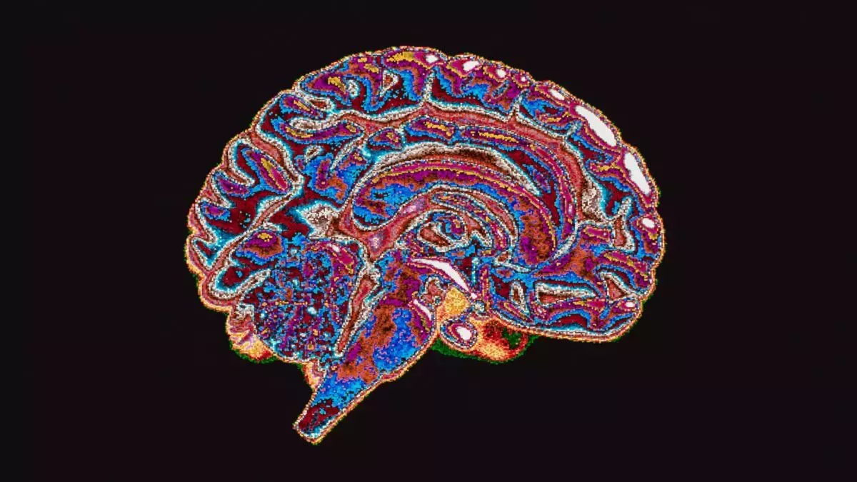 ¿Es reversible la muerte cerebral?