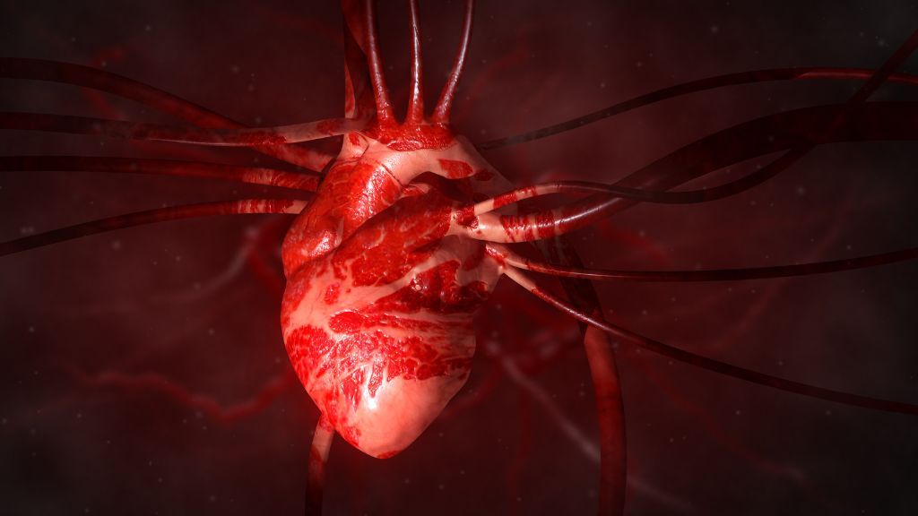 La "hormona del amor", la oxitocina, puede ayudar a reparar corazones rotos (literalmente), según un estudio de laboratorio