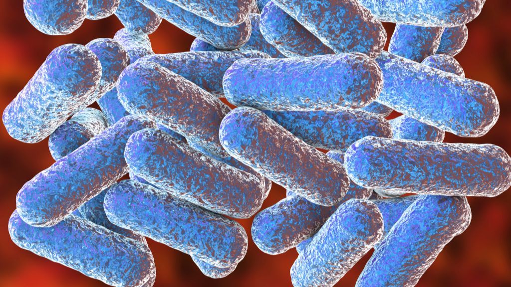 ¿Sabias que hay bacterias intestinales que dañan el ADN?