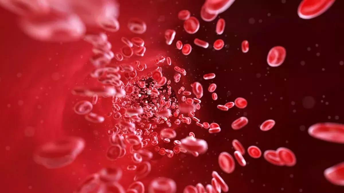 En un 1º, dos personas reciben transfusiones de células sanguíneas cultivadas en laboratorio