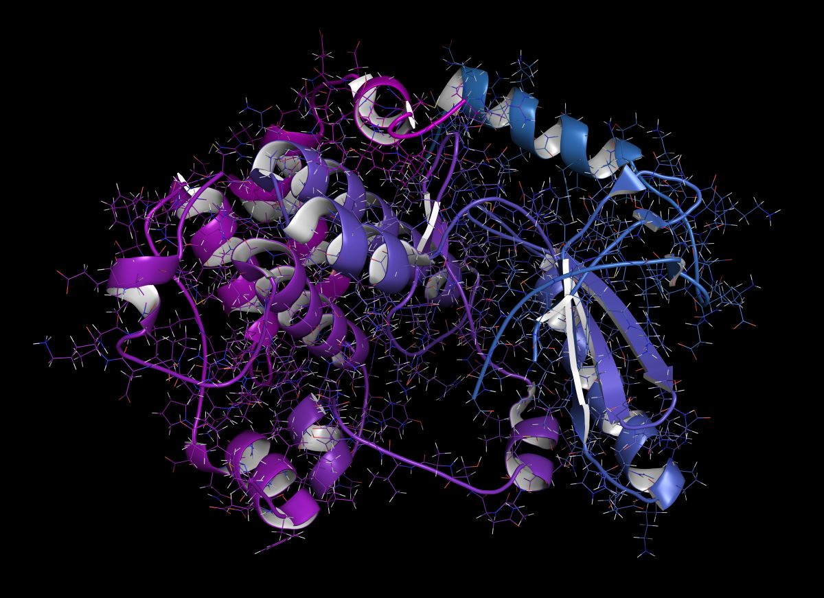 Meta acaba de predecir la estructura de 600 millones de proteínas . Meta acaba de predecir la estructura de 600 millones de proteínas .