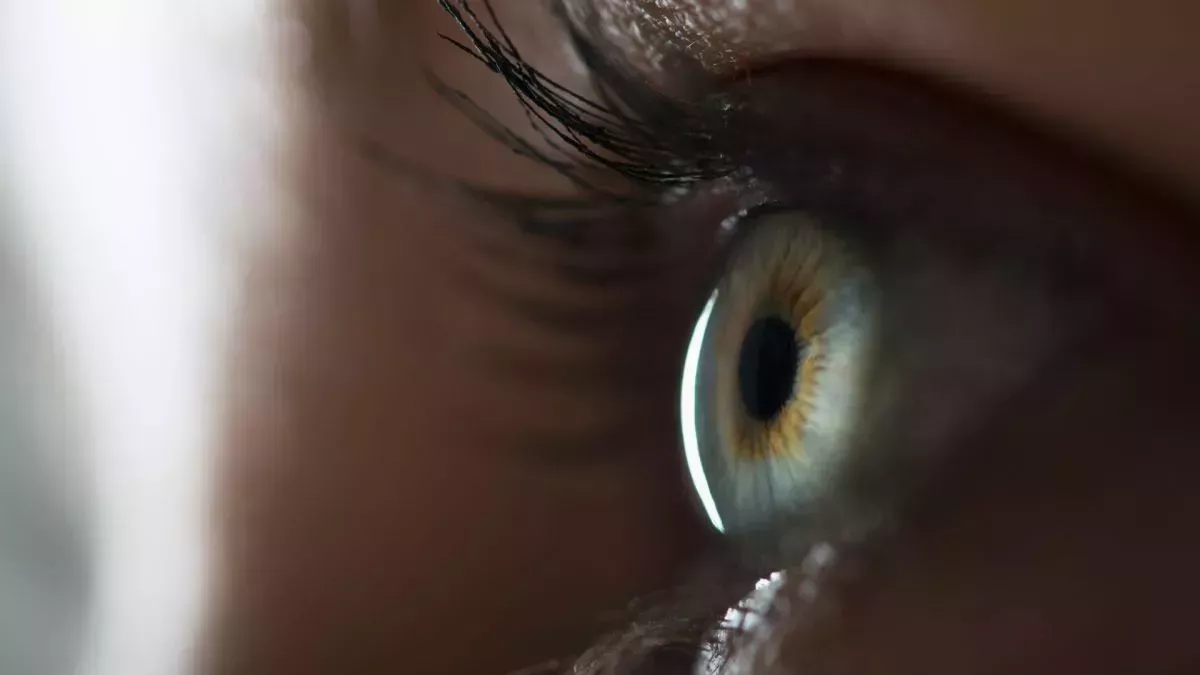 Una nueva terapia génica devuelve la visión nocturna a personas con un trastorno ocular hereditario