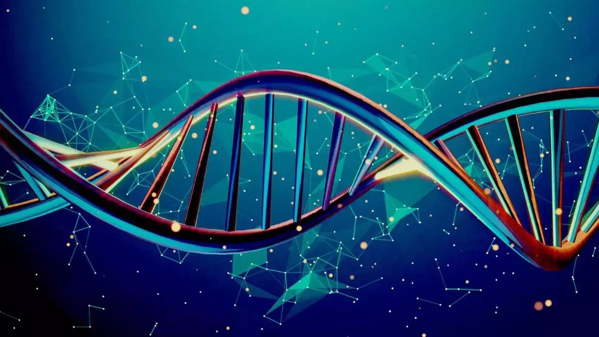 En el genoma humano hay más de 150 genes 