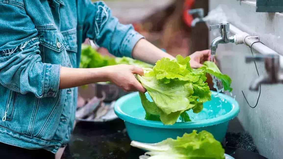 person washing lettuce